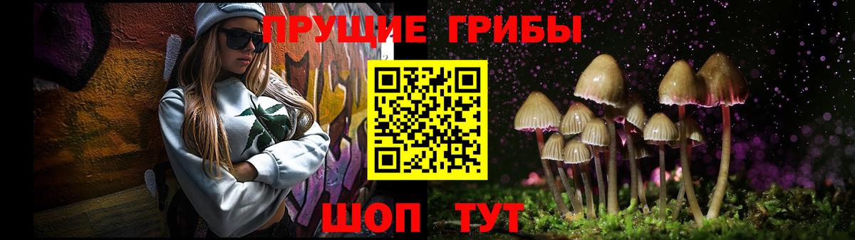 Саранск  Псилоцибиновые грибы прущие грибы  Вход с VPN 